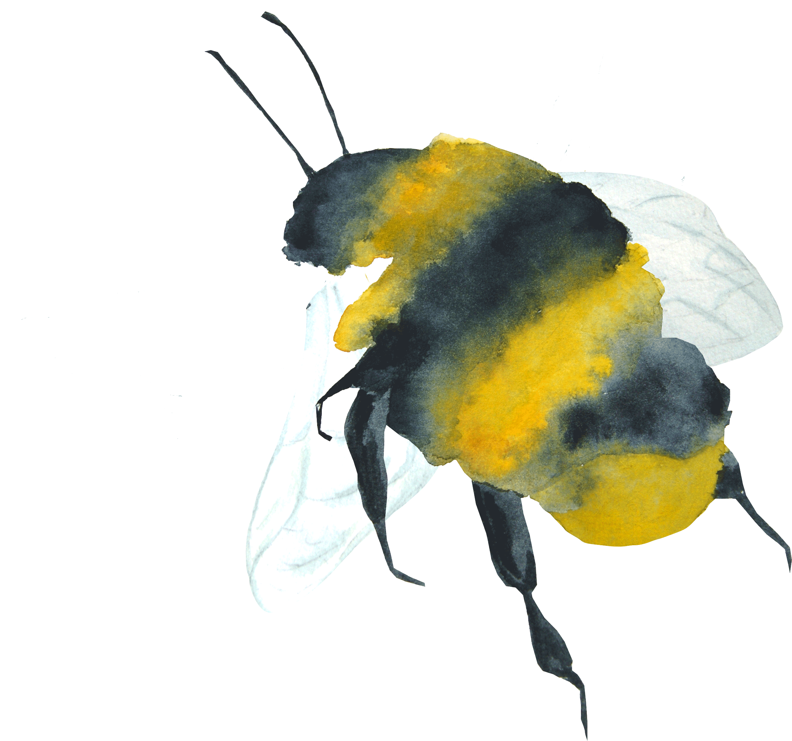 Animated bee